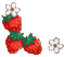 Strawberries - Bezmaksas animēts GIF animēts GIF