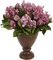 Bloemen en Planten - ingyenes png animált GIF