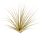 background deko gold - zadarmo png animovaný GIF