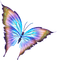 papillon multicolore.Cheyenne63 - Free PNG Animated GIF