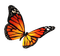 ✶ Butterfly {by Merishy} ✶ - png gratuito GIF animata
