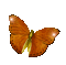 butterfly- papillon-brillant-ciel - GIF animé gratuit GIF animé