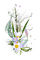 flowers - ücretsiz png animasyonlu GIF