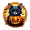 springtimes animal halloween cat pumpkin - nemokama png animuotas GIF