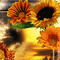 Sonnenblumen, tournesols, sunflowers - GIF animé gratuit GIF animé