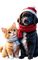 loly33 chien chat noël - безплатен png анимиран GIF