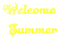 welcome summer text yellow - png grátis Gif Animado