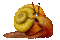 escargot - Nemokamas animacinis gif animuotas GIF
