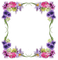 cadre fleur flower frame - PNG gratuit GIF animé