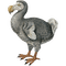 Dodo - darmowe png animowany gif