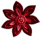 Christmas.Flower.Red - PNG gratuit GIF animé