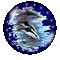 dauphins - Nemokamas animacinis gif animuotas GIF