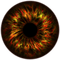 Kaz_Creations Eyes Eye Colours - Free PNG Animated GIF