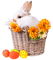 pâques - Free PNG Animated GIF