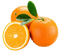 orange fruit - Free PNG Animated GIF