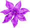 Christmas.Flower.Purple - png gratis GIF animado
