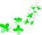 Flowers.White.Green - ücretsiz png animasyonlu GIF