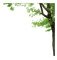 Tree - Bogusia - darmowe png animowany gif