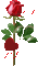 róża - Безплатен анимиран GIF анимиран GIF
