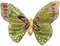 Kaz_Creations Deco Butterflies Butterfly   Colours - png gratis GIF animasi