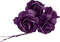 Gothic.Roses.Fleurs.Flowers.purple.Victoriabea - 免费PNG 动画 GIF