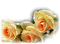 Kaz_Creations Deco Flowers - Free PNG Animated GIF