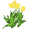 tulips - Бесплатный анимированный гифка анимированный гифка