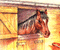 jolie poney au box - GIF animado gratis GIF animado