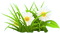 nbl - Daisy Flowers - PNG gratuit GIF animé