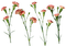 fleurs - png gratuito GIF animata