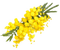 Flowers yellow bp - zdarma png animovaný GIF