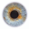 eye - Nemokamas animacinis gif animuotas GIF