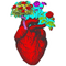 Corazón - GIF animé gratuit