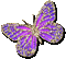 Vlinder - Darmowy animowany GIF animowany gif