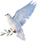 Kaz_Creations Bird Birds - zdarma png animovaný GIF