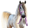 cheval.Cheyenne63 - Free PNG Animated GIF