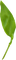 minou-leaf-blad - Free PNG Animated GIF