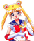 Sailor Moon milla1959 - Free PNG Animated GIF