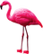 Kaz_Creations Flamingos Birds Bird - gratis png geanimeerde GIF