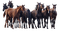 horses - ücretsiz png animasyonlu GIF