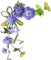 Kaz_Creations Deco Corner Flowers Colours - Free PNG Animated GIF