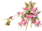 Fleur.flowers.deco.Bird.Pink.Victoriabea - 免费PNG 动画 GIF
