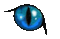 oeil chat-cat blue eye - GIF animé gratuit GIF animé