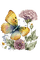 loly33 papillon fleur aquarelle - безплатен png анимиран GIF