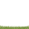 grass - darmowe png animowany gif