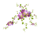 fleur violette.Cheyenne63 - png gratuito GIF animata