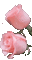 цветы - Δωρεάν κινούμενο GIF κινούμενο GIF