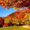 autumn background - png gratuito GIF animata