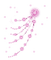 minou-pink-starlight-effect - PNG gratuit GIF animé