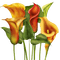 flowers katrin - png gratis GIF animasi